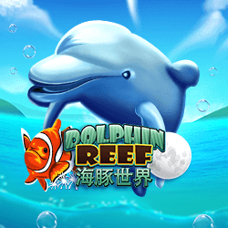 Dolphin Reef