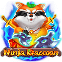 Ninja Raccoon